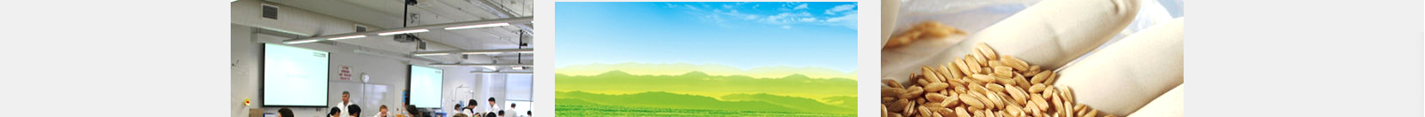 28.3L 博科鼓风机干燥箱